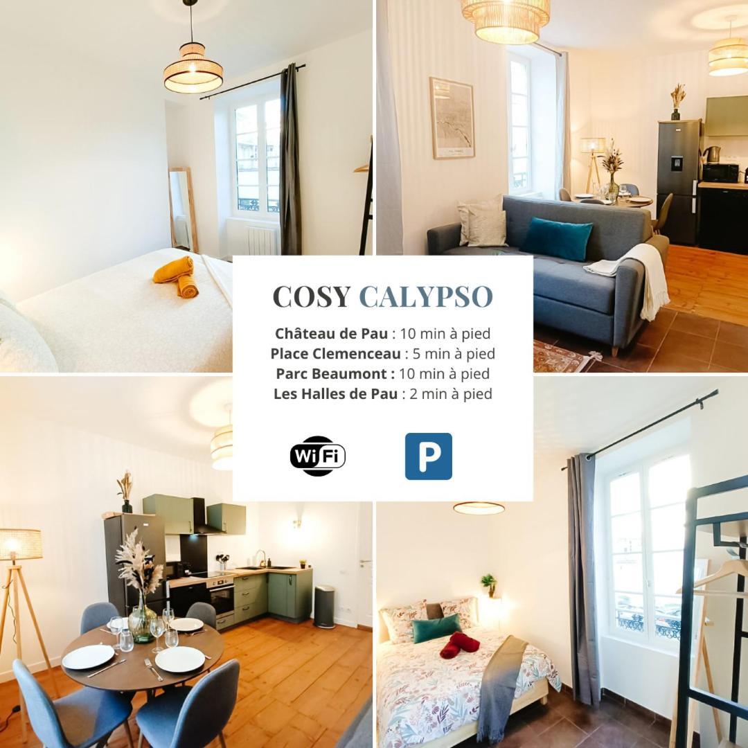 Cosy Calypso 2Ch - Quartier Des Halles & Parking Pau Exteriér fotografie